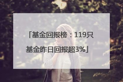 基金回报榜：119只基金昨日回报超3%
