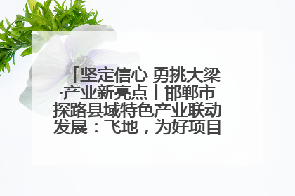 坚定信心 勇挑大梁·产业新亮点丨邯郸市探路县域特色产业联动发展：飞地，为好项目跨域安个家