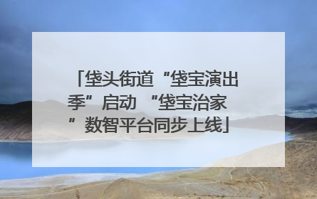 垡头街道“垡宝演出季”启动 “垡宝治家”数智平台同步上线