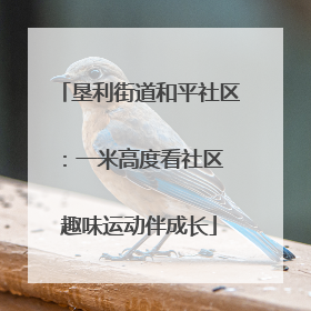 垦利街道和平社区：一米高度看社区 趣味运动伴成长