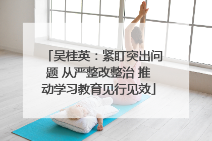 吴桂英：紧盯突出问题 从严整改整治 推动学习教育见行见效