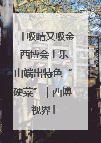 吸睛又吸金 西博会上乐山端出特色“硬菜”｜西博视界
