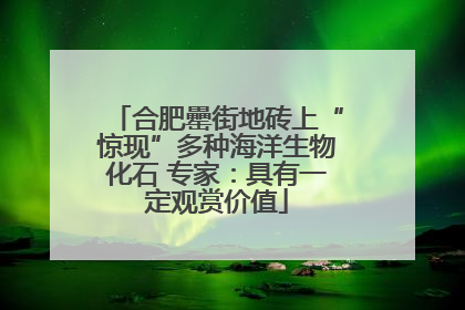 合肥罍街地砖上“惊现”多种海洋生物化石 专家：具有一定观赏价值