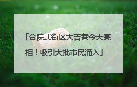 合院式街区大吉巷今天亮相！吸引大批市民涌入