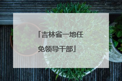 吉林省一地任免领导干部