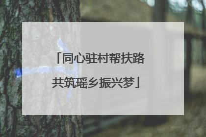 同心驻村帮扶路 共筑瑶乡振兴梦