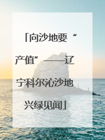 向沙地要“产值”——辽宁科尔沁沙地兴绿见闻