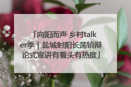 向阳而声·乡村talker季｜盐城射阳长荡镇辩论式宣讲有看头有热度