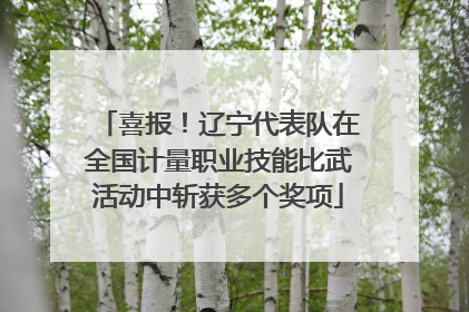喜报！辽宁代表队在全国计量职业技能比武活动中斩获多个奖项