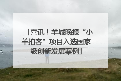 喜讯！羊城晚报“小羊拍客”项目入选国家级创新发展案例