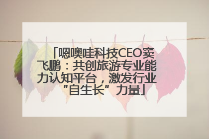 嗯噢哇科技CEO窦飞鹏：共创旅游专业能力认知平台，激发行业“自生长”力量