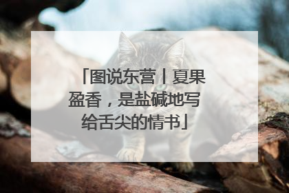图说东营丨夏果盈香，是盐碱地写给舌尖的情书