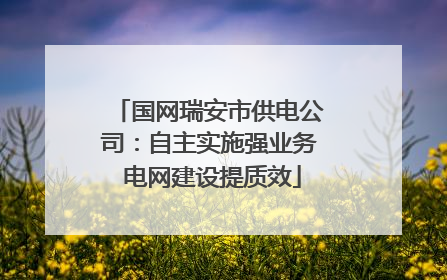 国网瑞安市供电公司：自主实施强业务 电网建设提质效
