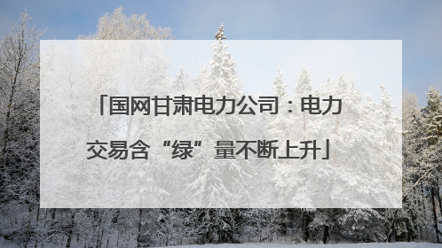 国网甘肃电力公司：电力交易含“绿”量不断上升