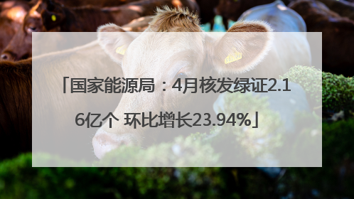 国家能源局：4月核发绿证2.16亿个 环比增长23.94%