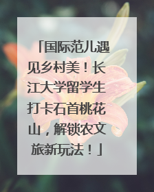 国际范儿遇见乡村美！长江大学留学生打卡石首桃花山，解锁农文旅新玩法！