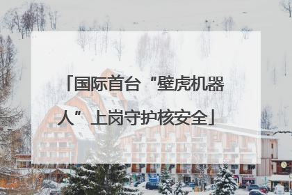 国际首台“壁虎机器人”上岗守护核安全