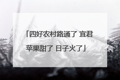 四好农村路通了 宜君苹果甜了 日子火了
