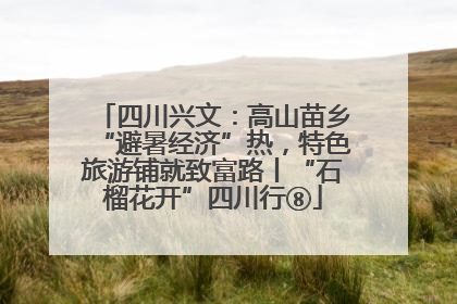 四川兴文：高山苗乡“避暑经济”热，特色旅游铺就致富路丨“石榴花开”四川行⑧