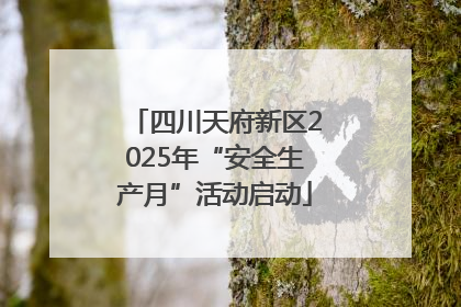 四川天府新区2025年“安全生产月”活动启动