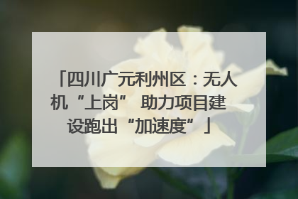 四川广元利州区：无人机“上岗” 助力项目建设跑出“加速度”