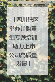 四川辖区举办并购重组专题培训 助力上市公司高质量发展