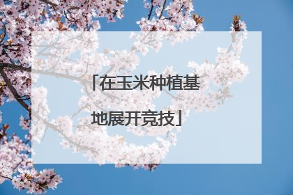 在玉米种植基地展开竞技