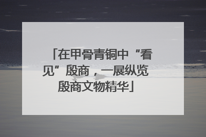 在甲骨青铜中“看见”殷商，一展纵览殷商文物精华