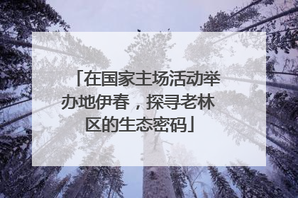 在国家主场活动举办地伊春，探寻老林区的生态密码