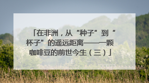 在非洲，从“种子”到“杯子”的遥远距离——一颗咖啡豆的前世今生（三）