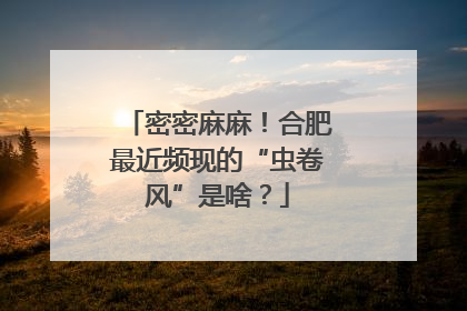 密密麻麻！合肥最近频现的“虫卷风”是啥？
