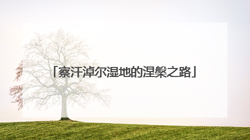 察汗淖尔湿地的涅槃之路
