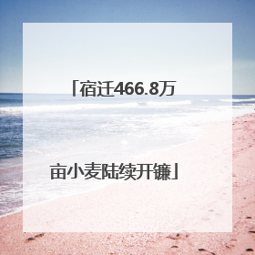 宿迁466.8万亩小麦陆续开镰