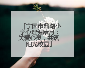 宁国市鼎湖小学心理健康月：关爱心灵，共筑阳光校园