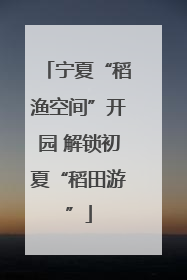 宁夏“稻渔空间”开园 解锁初夏“稻田游”