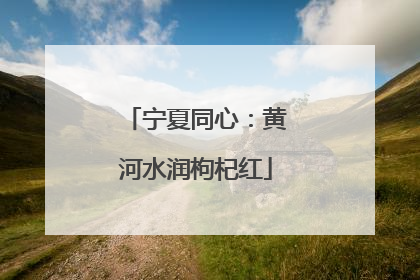 宁夏同心：黄河水润枸杞红