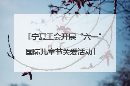 宁夏工会开展“六一”国际儿童节关爱活动