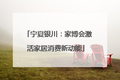 宁夏银川：家博会激活家居消费新动能