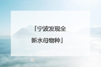 宁波发现全新水母物种