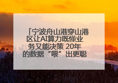 宁波舟山港穿山港区让AI算力既懂业务又能决策 20年的数据“喂”出更聪明的港口