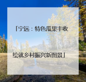 宁远：特色瓜果丰收绘就乡村振兴新图景