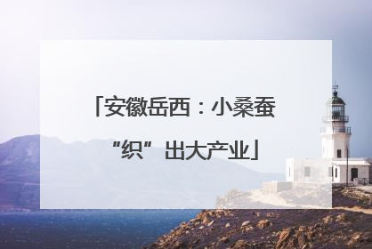 安徽岳西：小桑蚕“织”出大产业