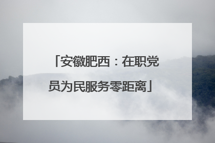 安徽肥西：在职党员为民服务零距离