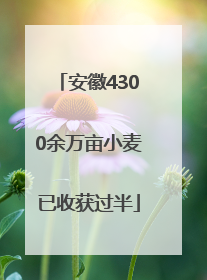 安徽4300余万亩小麦已收获过半