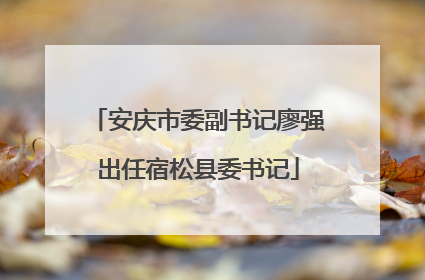 安庆市委副书记廖强出任宿松县委书记