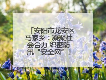 安阳市龙安区马家乡：凝聚社会合力 织密防汛“安全网”