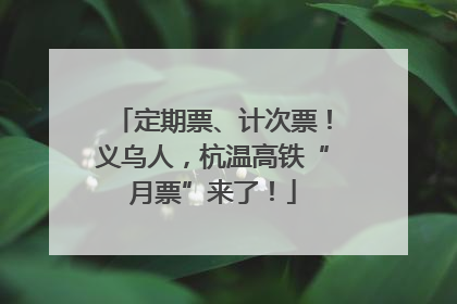 定期票、计次票！义乌人，杭温高铁“月票”来了！
