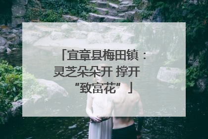 宜章县梅田镇：灵芝朵朵开 撑开“致富花”