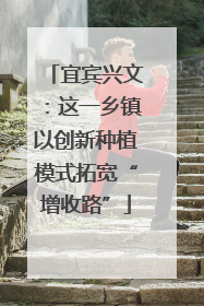 宜宾兴文：这一乡镇以创新种植模式拓宽“增收路”