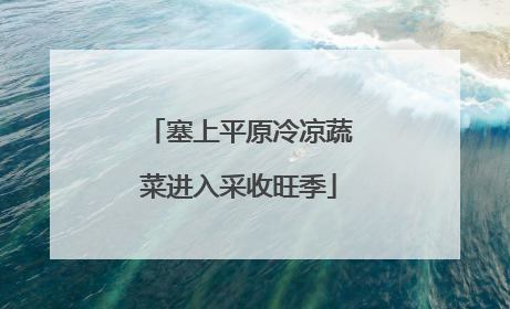 塞上平原冷凉蔬菜进入采收旺季